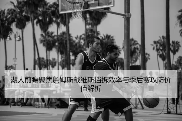 湖人前瞻聚焦詹姆斯戴维斯挡拆效率与季后赛攻防价值解析